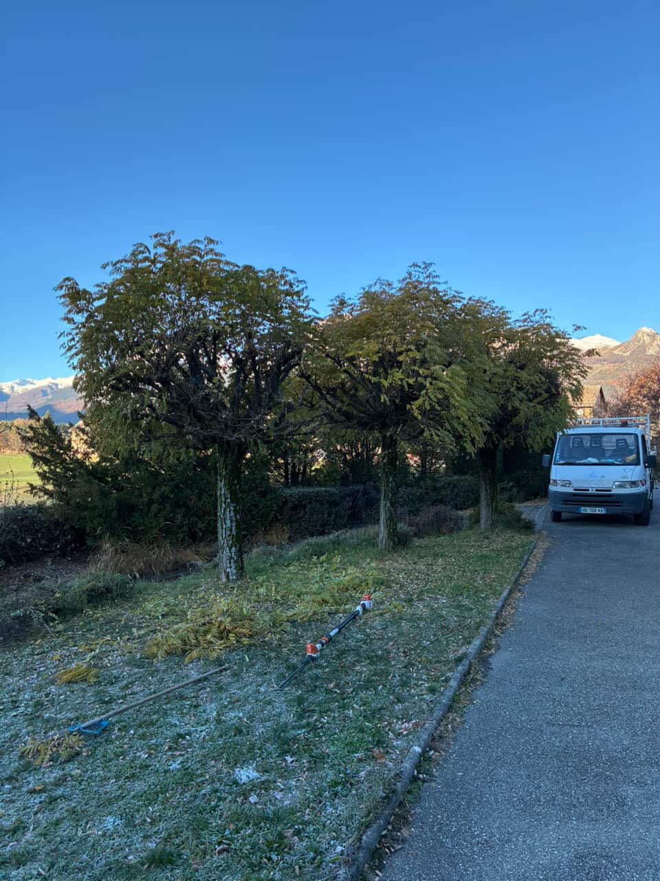 Arbres ornementaux après taille un matin givré en montagne