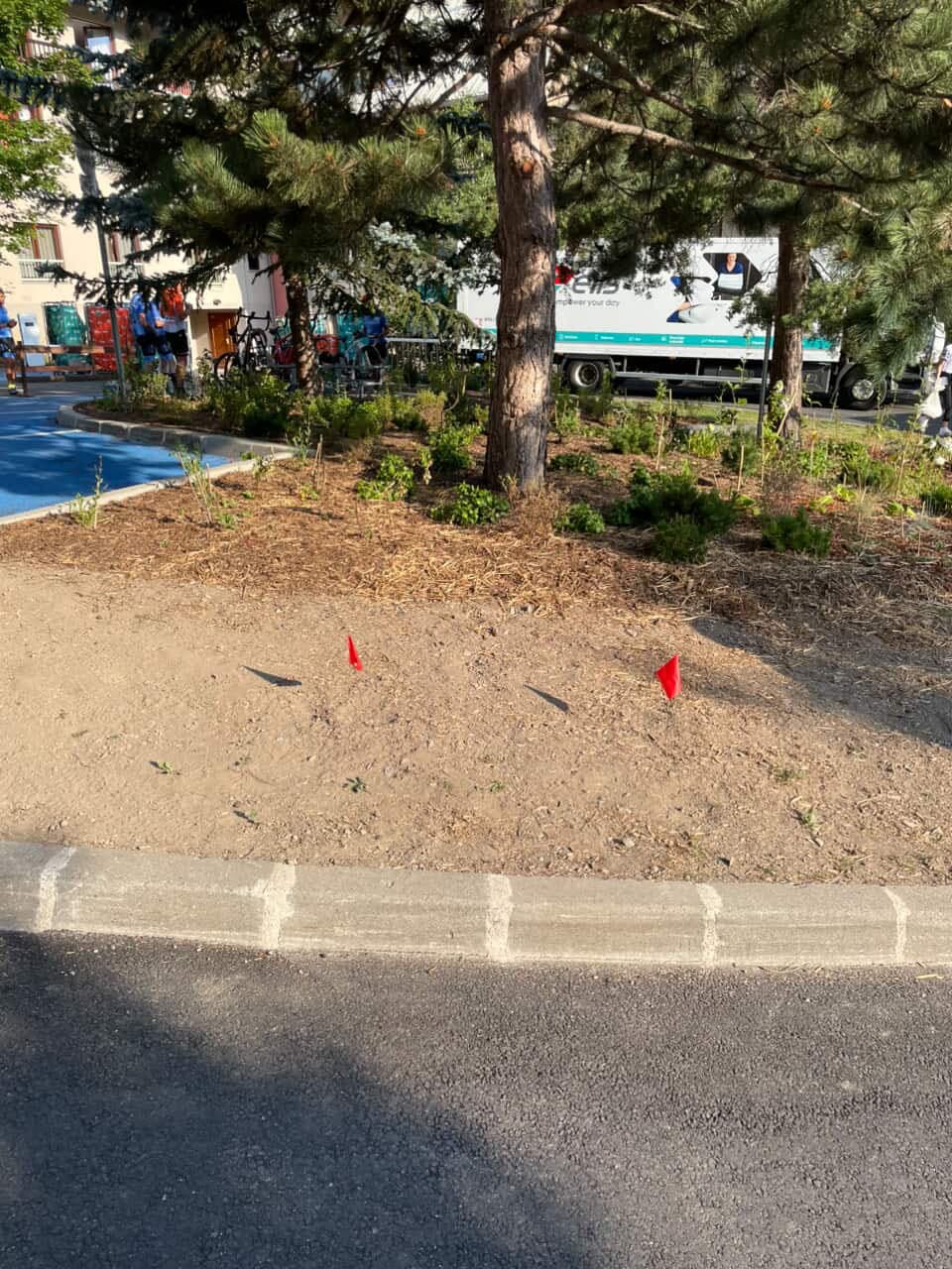 Massif floral planté avec paillage dans un espace public