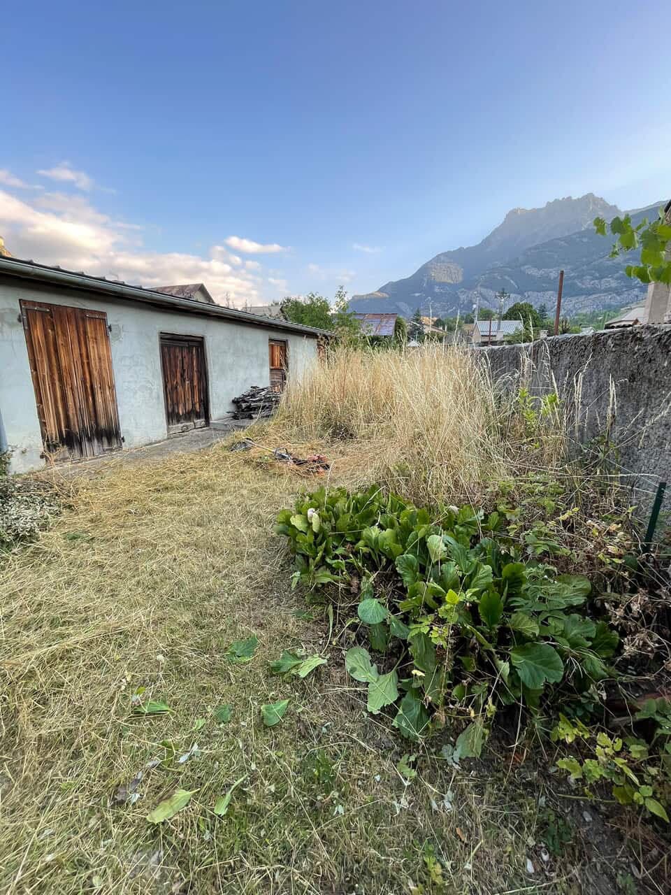 Terrain envahi par les herbes hautes