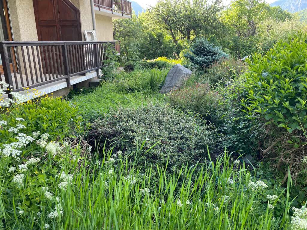 Jardin luxuriant avec vivaces et herbes hautes devant maison alpine