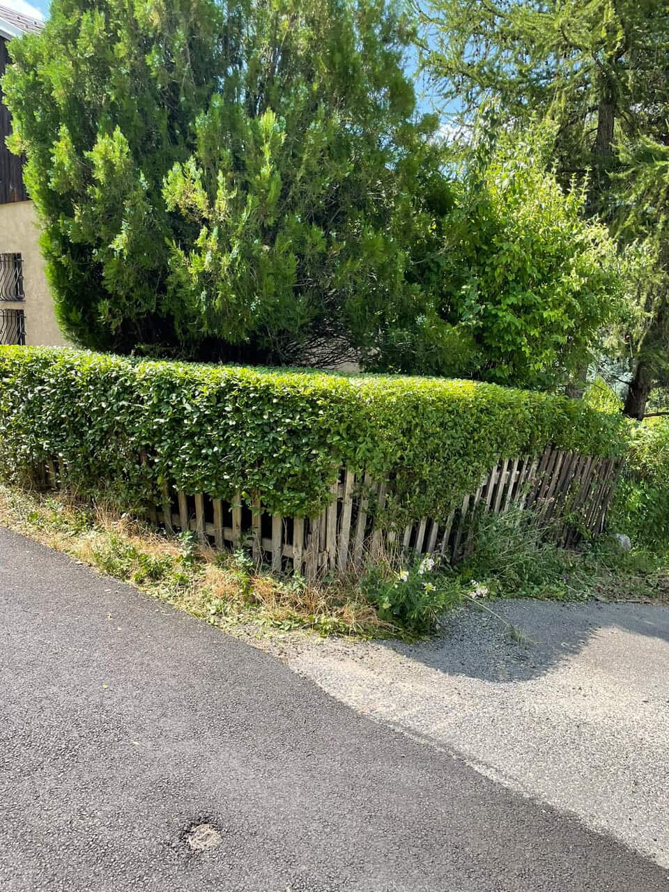 Entretien de haies le long d'un jardin