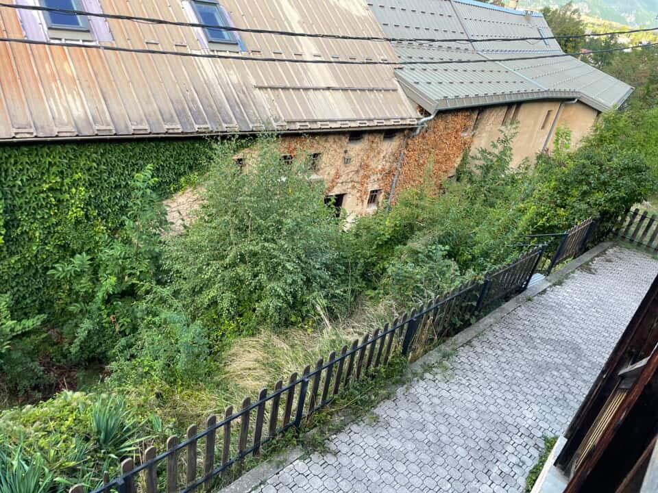 Haie taillée nettement le long d'une route
