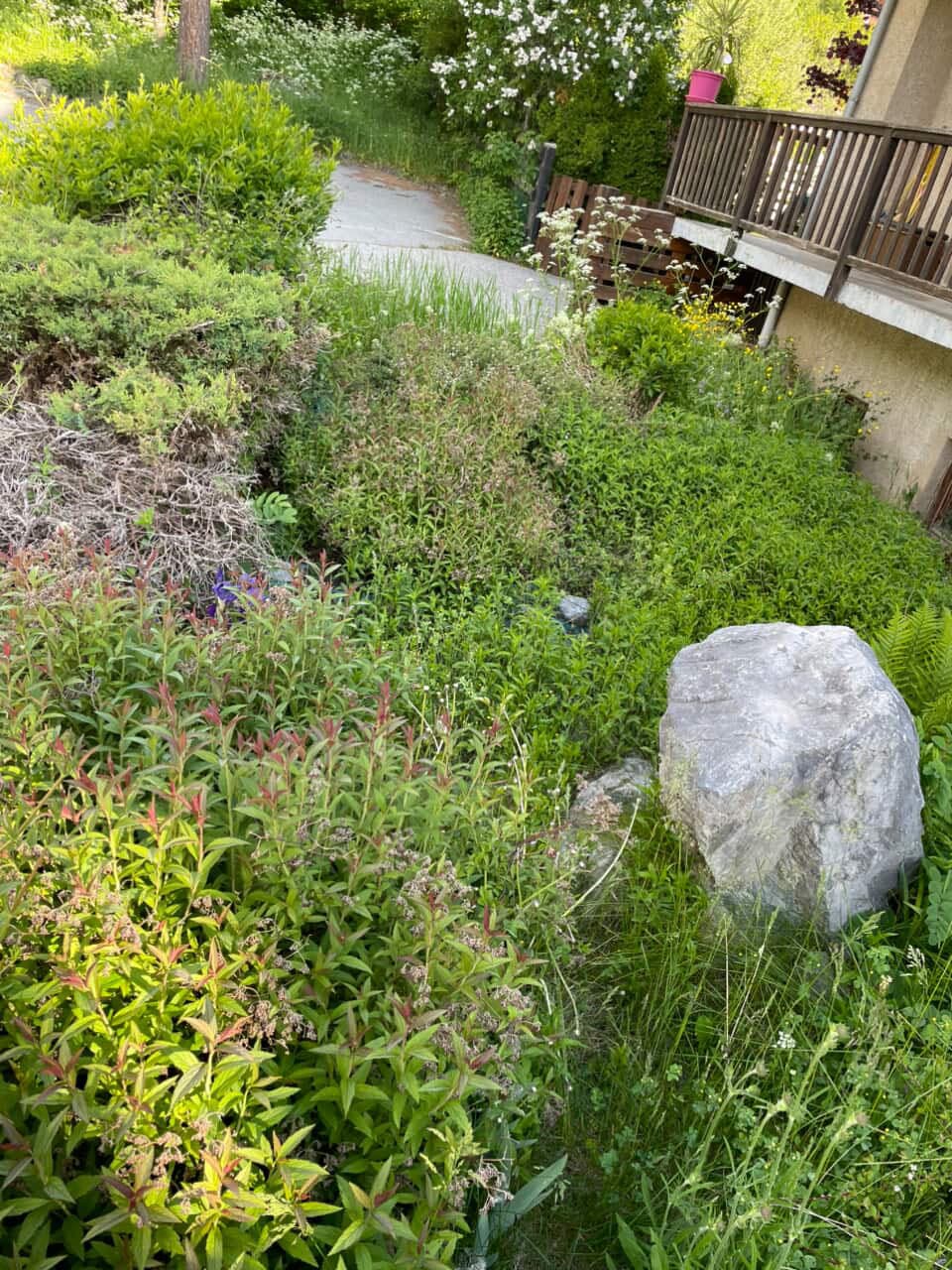 Jardin verdoyant entretenu près d'une maison de montagne