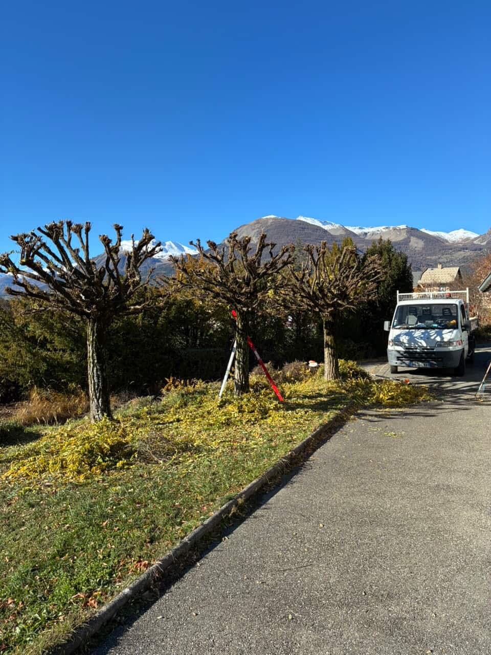 Véhicules Maillard Paysage sur un chantier d'élagage